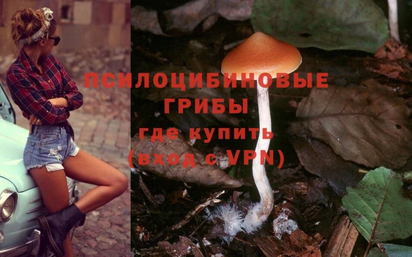гидропоника Баксан