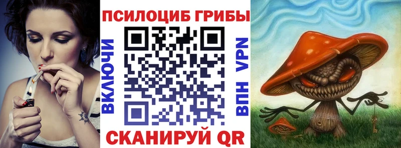 Псилоцибиновые грибы мицелий  Городец 