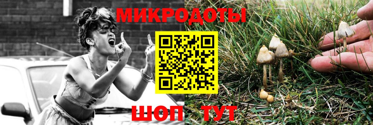 Галлюциногенные грибы мицелий Городец